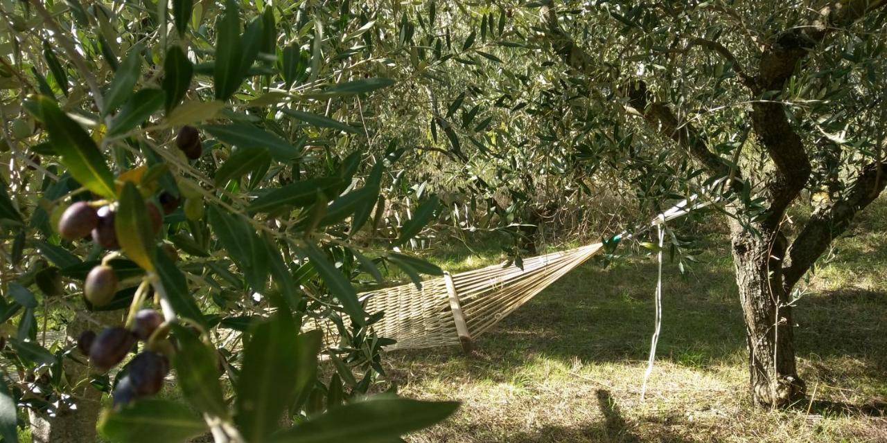 Villa Emma-Toscanaparadiso Pomaia Dış mekan fotoğraf